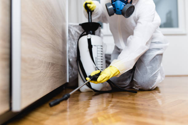 Best Bed Bug Extermination  in Sylvan Lake, MI