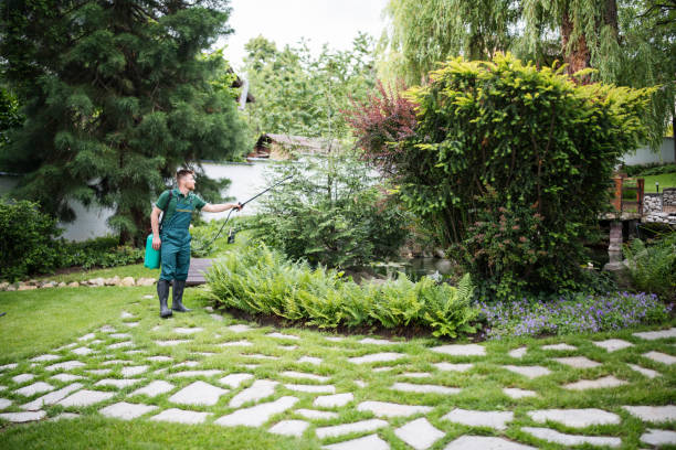 Best Bird Control  in Sylvan Lake, MI