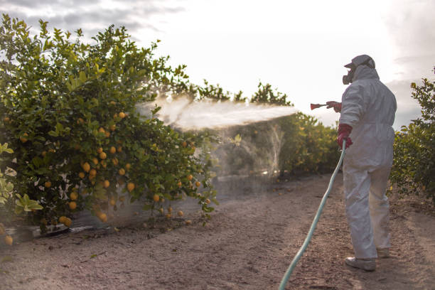 Best Best Pest Control Companies  in Sylvan Lake, MI