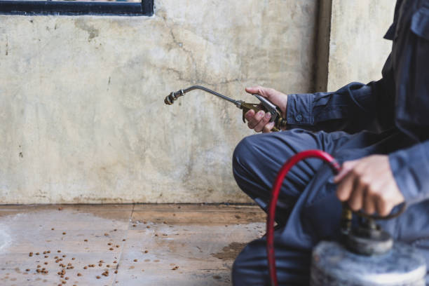 Best Exterminator Services  in Sylvan Lake, MI
